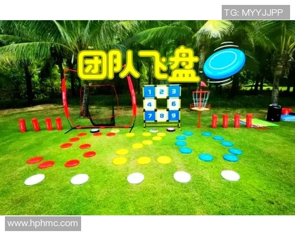 广州飞盘队的耐力之路：探索飞盘运动的魅力与挑战